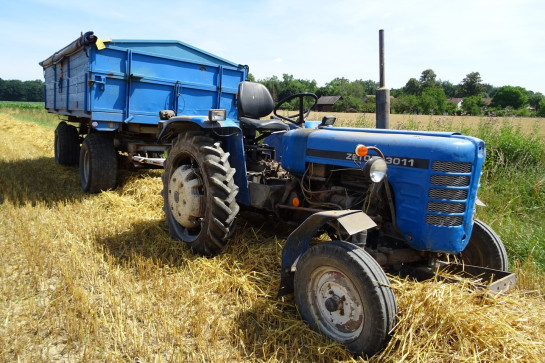 Zetor