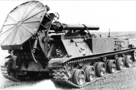 2S4 Tjulpan