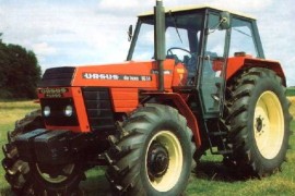 Ursus